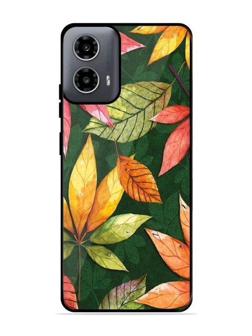 Autumn'S Embrace Glossy Soft Edge Case for Motorola Moto G54 (5G) Chachhi