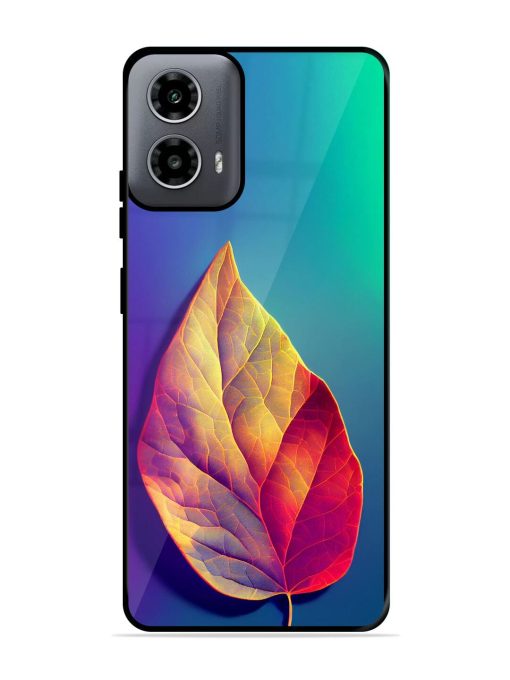 Autumn'S Embrace Glossy Soft Edge Case for Motorola Moto G54 (5G) Chachhi