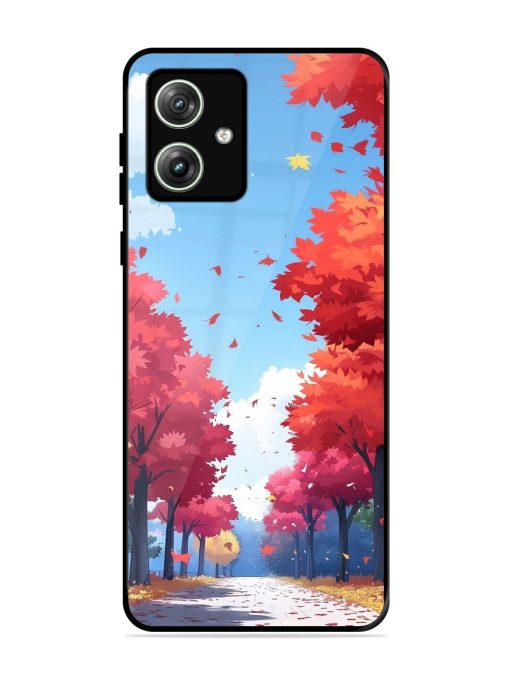 Autumn'S Embrace Glossy Soft Edge Case for Motorola Moto G64 (5G) Chachhi