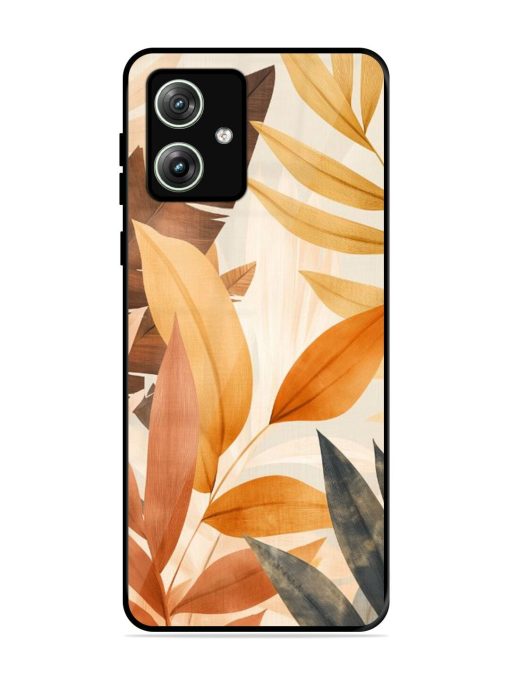 Earthy Elegance Glossy Soft Edge Case for Motorola Moto G64 (5G) Chachhi