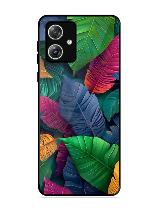 Tropical Tapestry Glossy Soft Edge Case for Motorola Moto G64 (5G) Chachhi