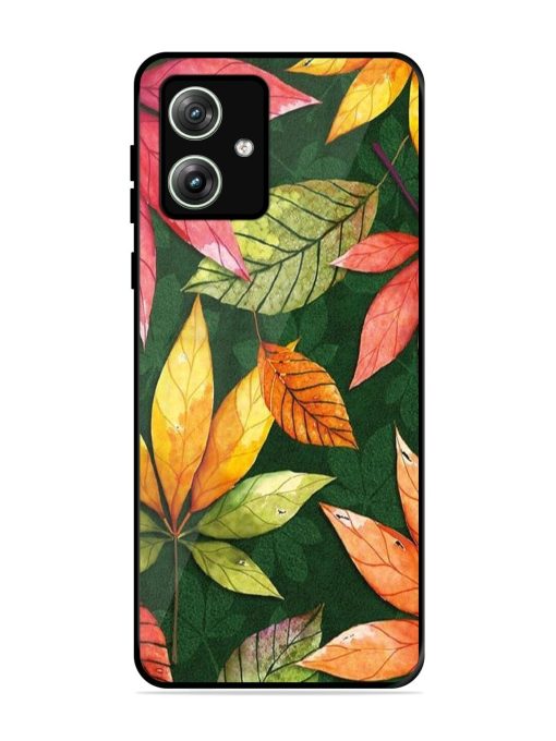 Autumn'S Embrace Glossy Soft Edge Case for Motorola Moto G64 (5G) Chachhi