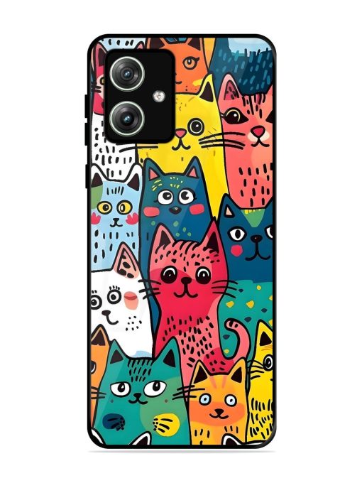 Feline Frenzy Glossy Soft Edge Case for Motorola Moto G64 (5G) Chachhi