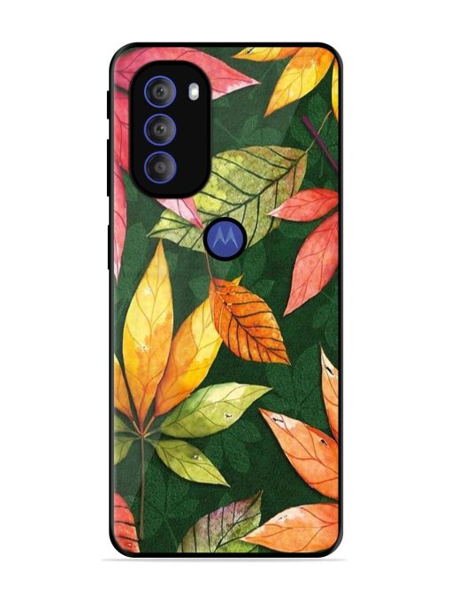 Autumn'S Embrace Glossy Soft Edge Case for Motorola Moto G71 (5G) Chachhi