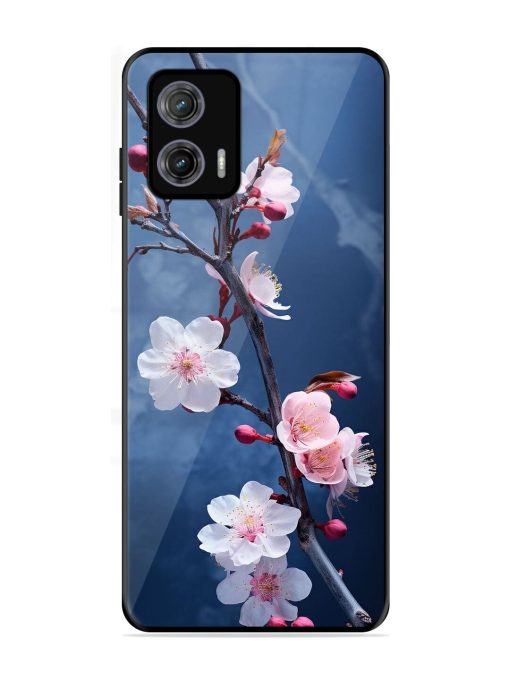 Delicate Blossoms Glossy Soft Edge Case for Motorola Moto G73 (5G) Chachhi