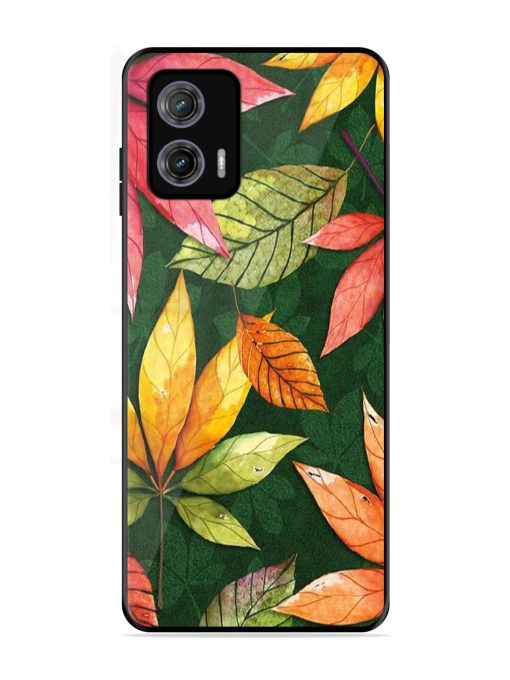 Autumn'S Embrace Glossy Soft Edge Case for Motorola Moto G73 (5G) Chachhi