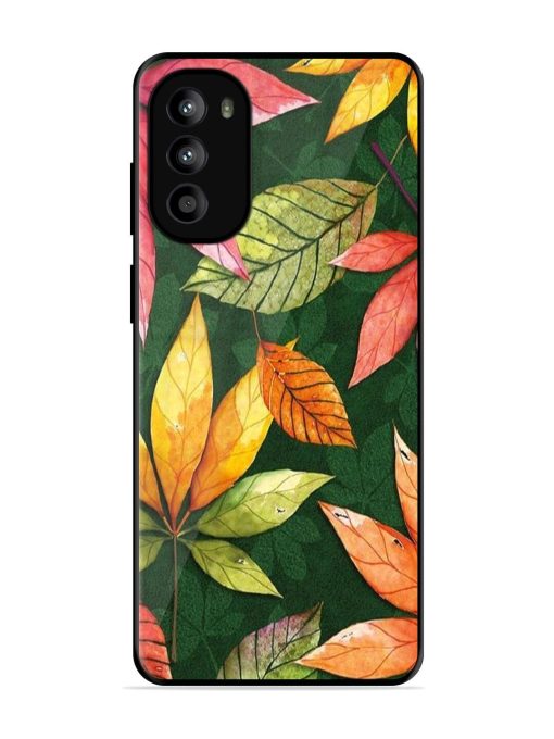 Autumn'S Embrace Glossy Soft Edge Case for Motorola Moto G82 (5G)