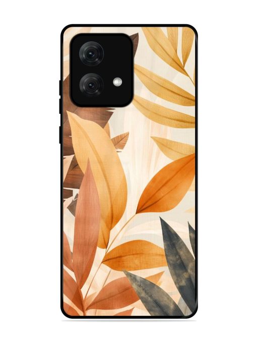 Earthy Elegance Glossy Soft Edge Case for Motorola Moto G84 (5G) Chachhi