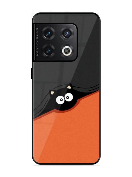 Peek-A-Boo Kitty Glossy Soft Edge Case for Oneplus 10 Pro (5G) Chachhi