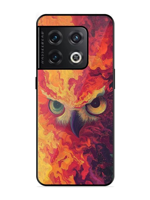 Fiery Owl Glossy Soft Edge Case for Oneplus 10 Pro (5G) Chachhi