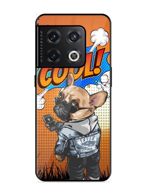 Cool Pup Glossy Soft Edge Case for Oneplus 10 Pro (5G) Chachhi