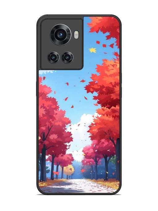 Autumn'S Embrace Glossy Soft Edge Case for Oneplus 10R (5G) Chachhi