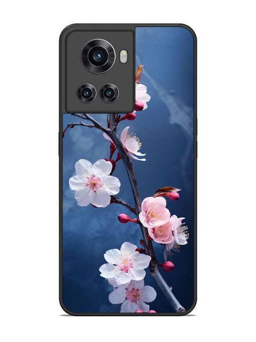 Delicate Blossoms Glossy Soft Edge Case for Oneplus 10R (5G) Chachhi