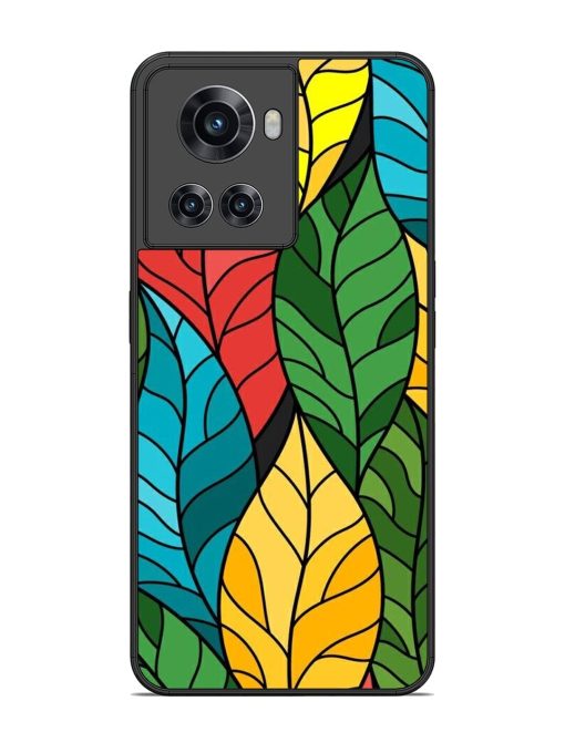 Foliage Fiesta Glossy Soft Edge Case for Oneplus 10R (5G) Chachhi