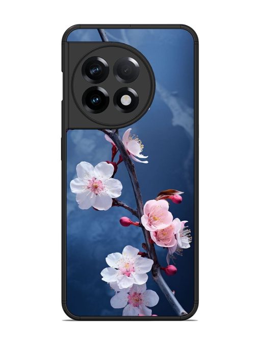 Delicate Blossoms Glossy Soft Edge Case for Oneplus 11R (5G) Chachhi