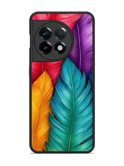 Rainbow Feathers Glossy Soft Edge Case for Oneplus 11R (5G) Chachhi