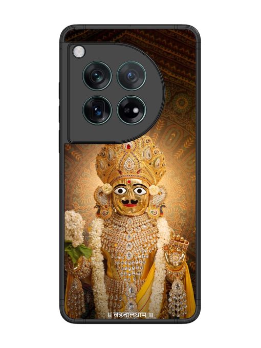 Hare Krishna Maharaj Glossy Soft Edge Case for Oneplus 12 (5G) Chachhi