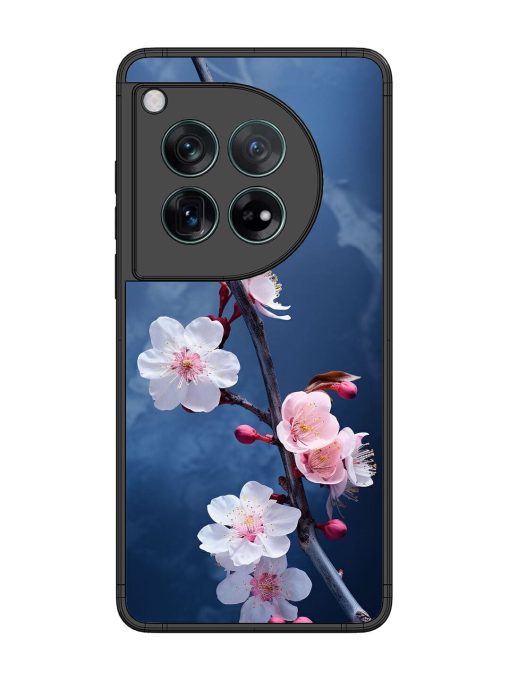 Delicate Blossoms Glossy Soft Edge Case for Oneplus 12 (5G) Chachhi