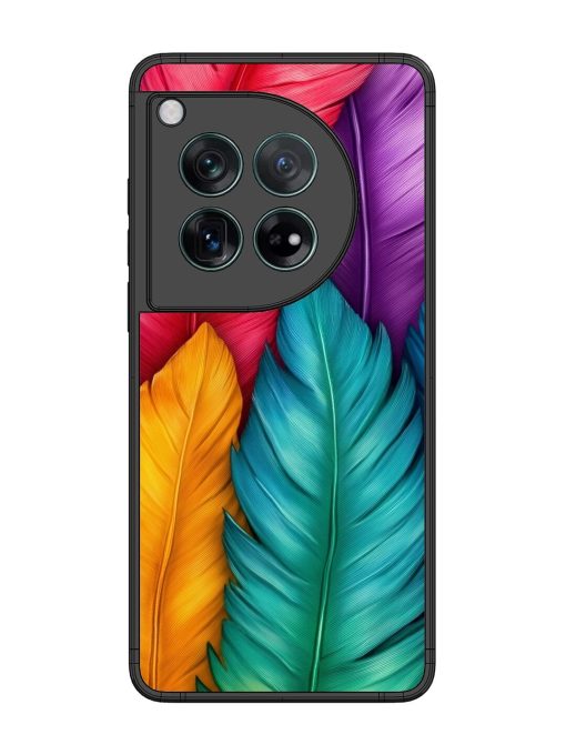 Rainbow Feathers Glossy Soft Edge Case for Oneplus 12 (5G) Chachhi