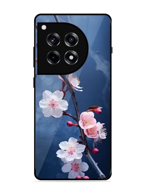 Delicate Blossoms Glossy Soft Edge Case for Oneplus 12R (5G)