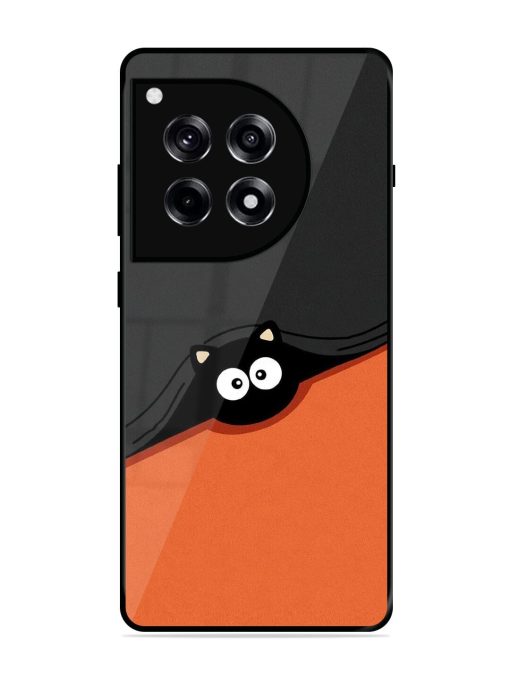 Peek-A-Boo Kitty Glossy Soft Edge Case for Oneplus 12R (5G)