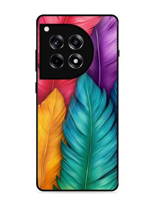 Rainbow Feathers Glossy Soft Edge Case for Oneplus 12R (5G)