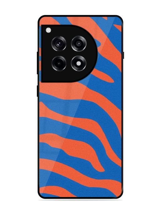 Zebra Stripes In Blue And Orange Glossy Soft Edge Case for Oneplus 12R (5G)