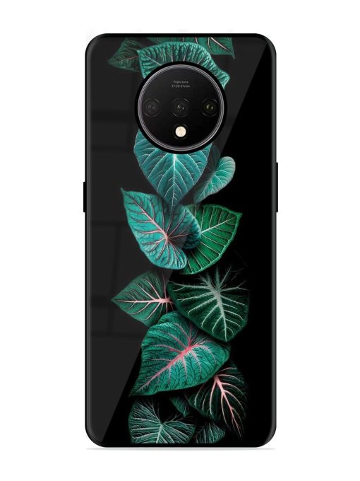 Emerald Elegance Glossy Soft Edge Case for Oneplus 7T Chachhi