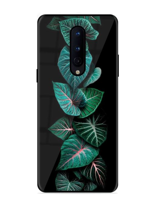 Emerald Elegance Glossy Soft Edge Case for Oneplus 8 Chachhi