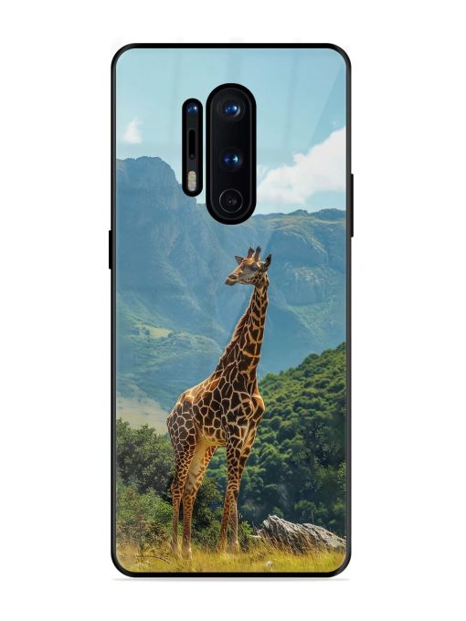 Gentle Giant Glossy Soft Edge Case for Oneplus 8 Pro Chachhi