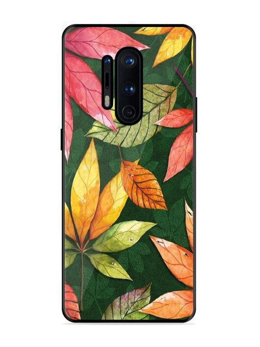 Autumn'S Embrace Glossy Soft Edge Case for Oneplus 8 Pro Chachhi