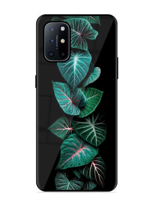 Emerald Elegance Glossy Soft Edge Case for Oneplus 8T (5G) Chachhi