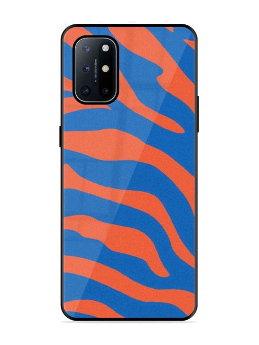 Zebra Stripes In Blue And Orange Glossy Soft Edge Case for Oneplus 8T (5G) Chachhi