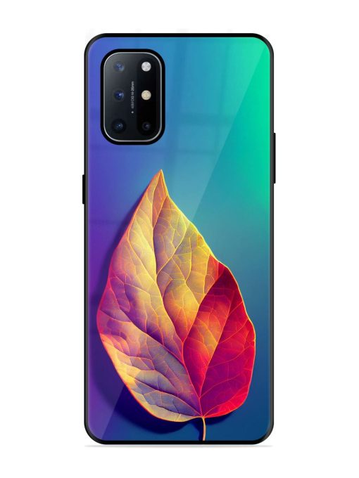 Autumn'S Embrace Glossy Soft Edge Case for Oneplus 8T (5G) Chachhi