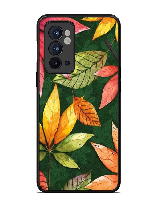 Autumn'S Embrace Glossy Soft Edge Case for Oneplus 9RT (5G) Chachhi