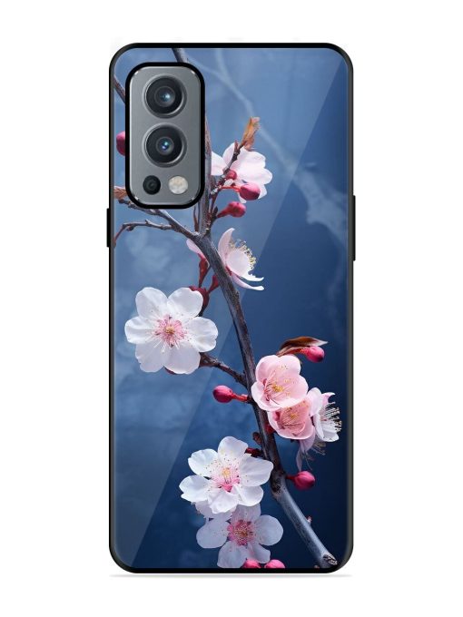 Delicate Blossoms Glossy Soft Edge Case for Oneplus Nord 2 (5G) Chachhi