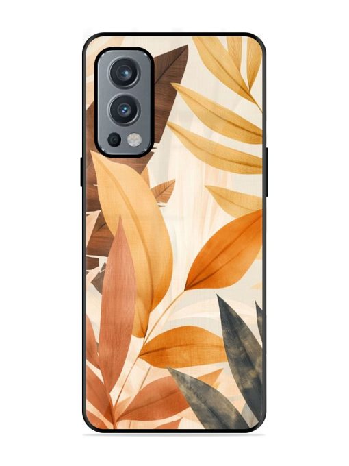 Earthy Elegance Glossy Soft Edge Case for Oneplus Nord 2 (5G) Chachhi