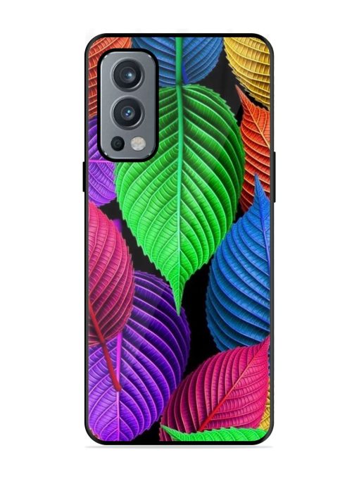 Rainbow Leaf Symphony Glossy Soft Edge Case for Oneplus Nord 2 (5G) Chachhi