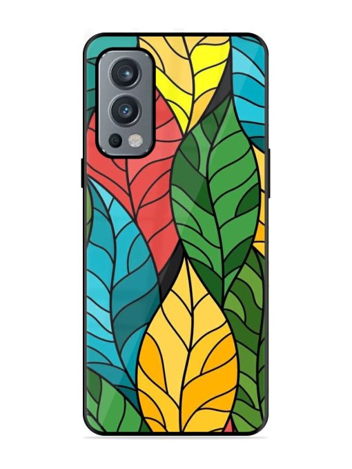 Foliage Fiesta Glossy Soft Edge Case for Oneplus Nord 2 (5G) Chachhi