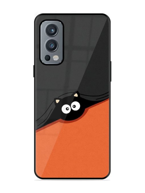 Peek-A-Boo Kitty Glossy Soft Edge Case for Oneplus Nord 2 (5G) Chachhi