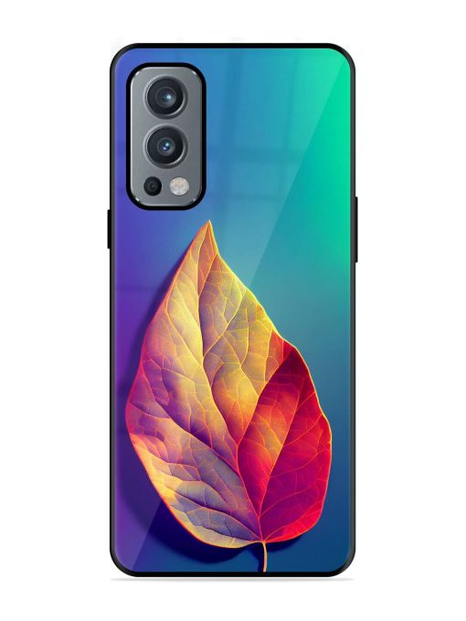 Autumn'S Embrace Glossy Soft Edge Case for Oneplus Nord 2 (5G) Chachhi