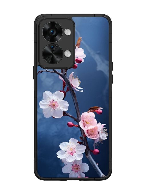 Delicate Blossoms Glossy Soft Edge Case for Oneplus Nord 2T (5G) Chachhi