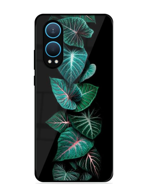 Emerald Elegance Glossy Soft Edge Case for Oneplus Nord Ce 4 Lite (5G) Chachhi