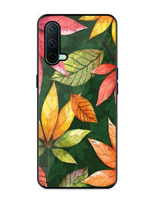 Autumn'S Embrace Glossy Soft Edge Case for Oneplus Nord Ce (5G) Chachhi