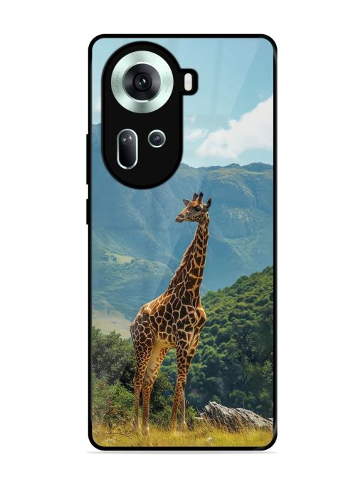 Gentle Giant Glossy Soft Edge Case for Oppo Reno 11 (5G)