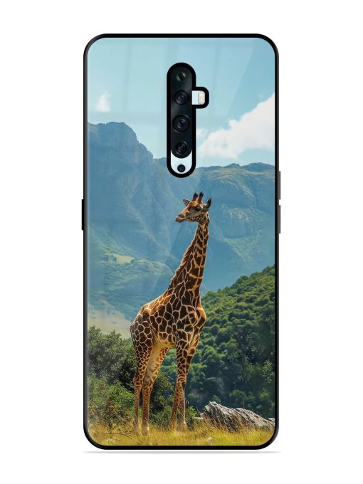 Gentle Giant Glossy Soft Edge Case for Oppo Reno 2F Chachhi