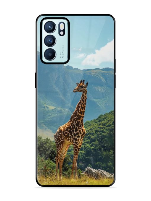 Gentle Giant Glossy Soft Edge Case for Oppo Reno 6 (5G) Chachhi