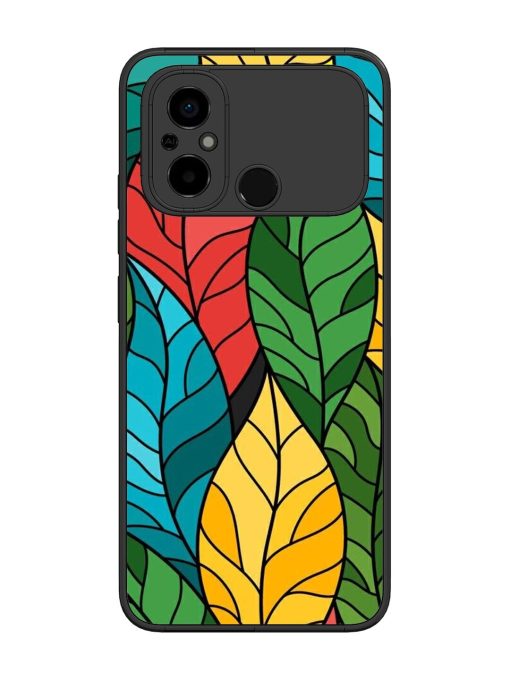 Foliage Fiesta Glossy Soft Edge Case for Poco C55 Chachhi