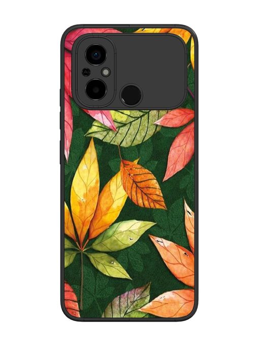 Autumn'S Embrace Glossy Soft Edge Case for Poco C55 Chachhi