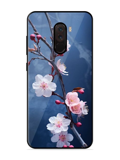 Delicate Blossoms Glossy Soft Edge Case for Poco F1 Chachhi